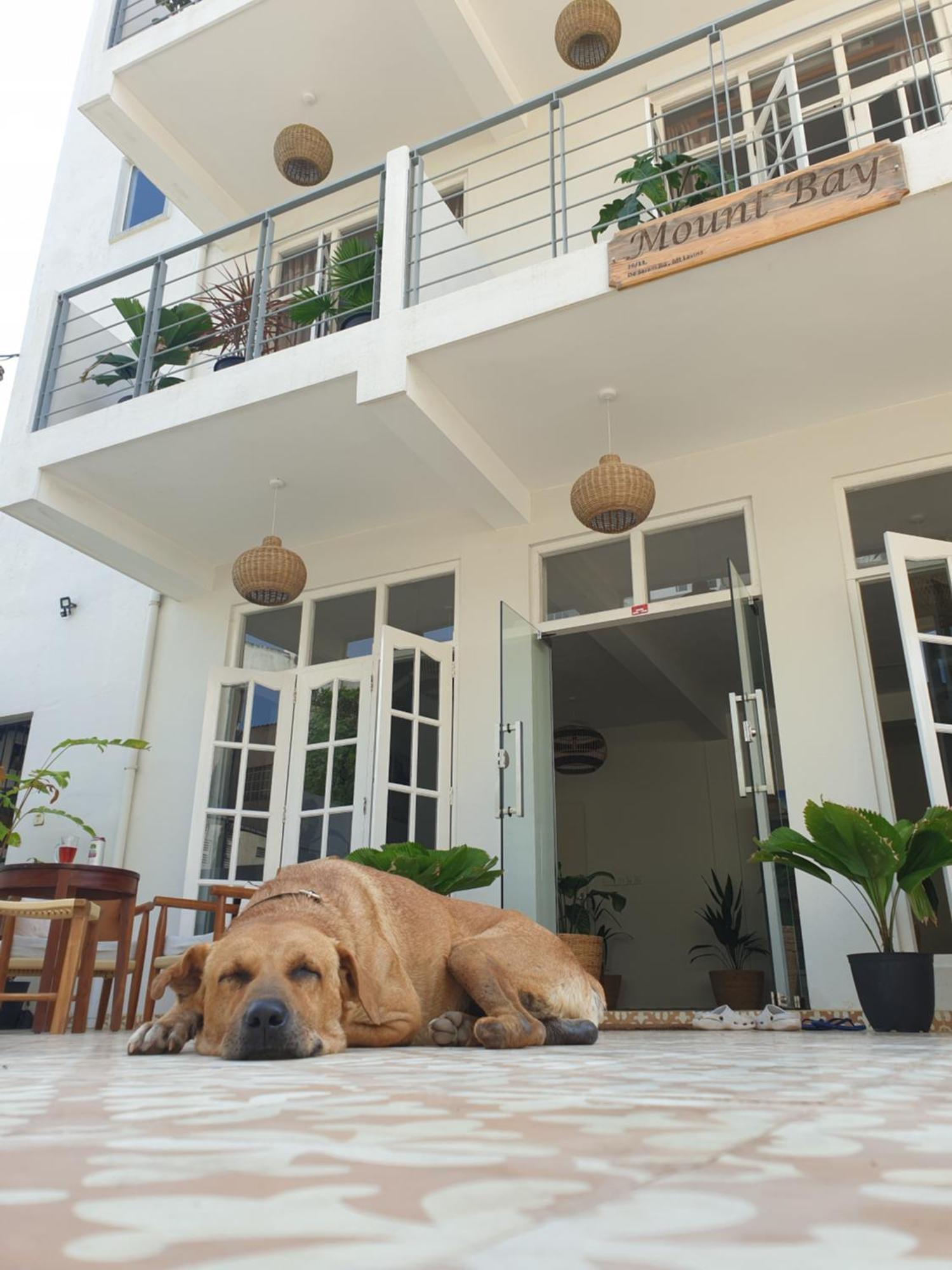 Hotel Mountbaylk Dehiwala-Mount Lavinia Exterior foto